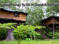 Amazing Things To Do In Dandeli Karnataka