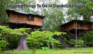 Amazing Things To Do In Dandeli Karnataka