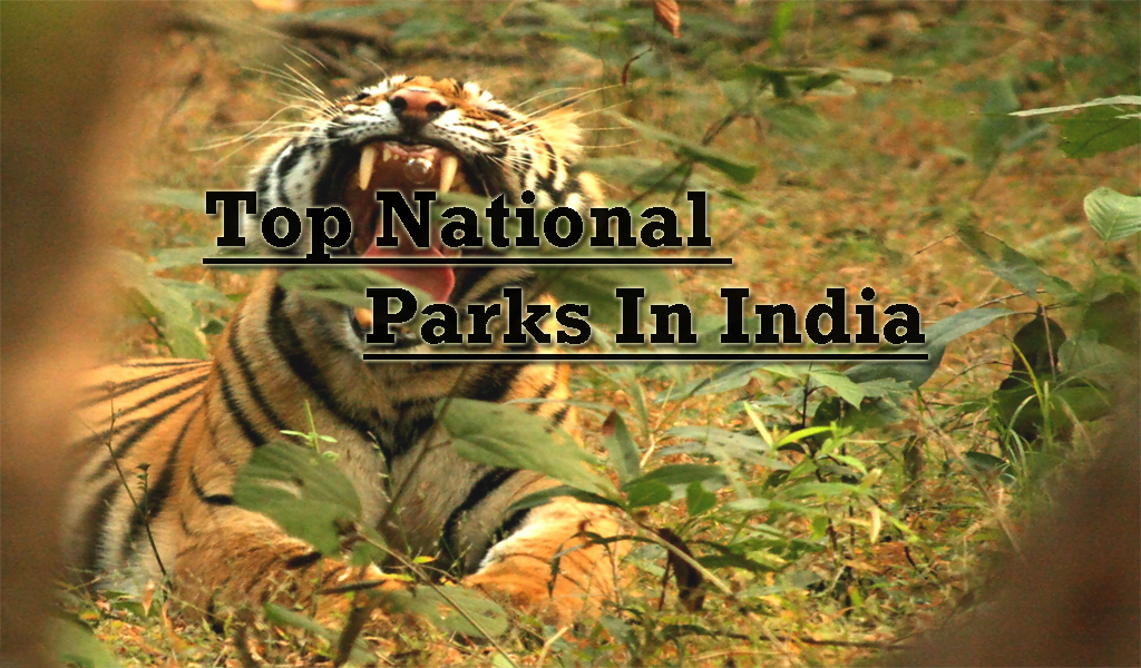 National Park Of India In Hindi Pdf